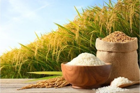 Rice